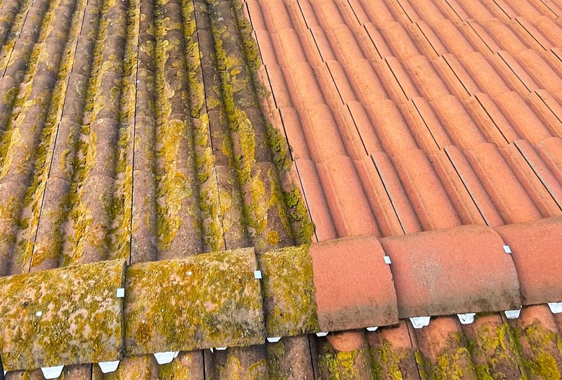 demoussage-toiture-mousses-lichens-lot-entreprise-rozel-couvreur-lot-46
